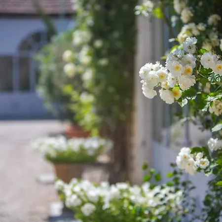 בית הארחה Domaine De Blanche Fleur